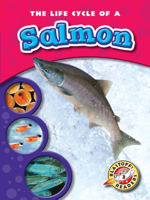 cover image of The Life Cycle of a Salmon